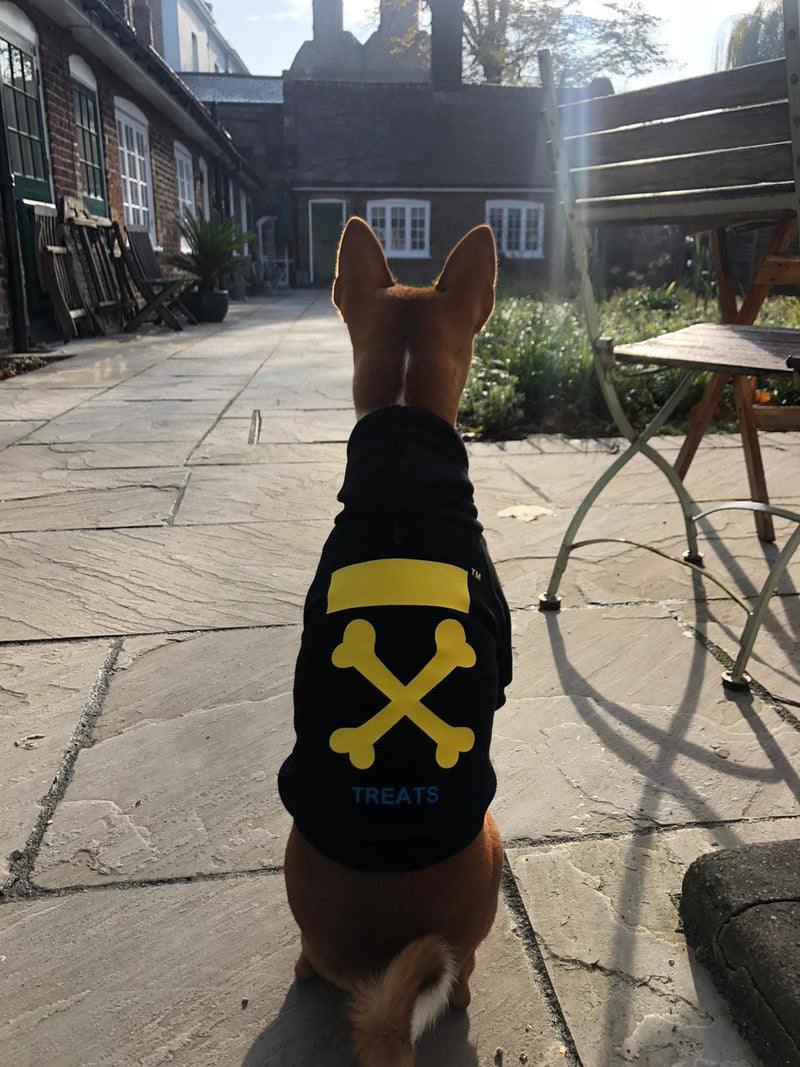 Dog Hoodie