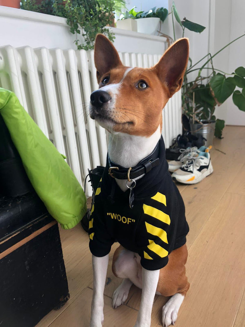 Dog Hoodie