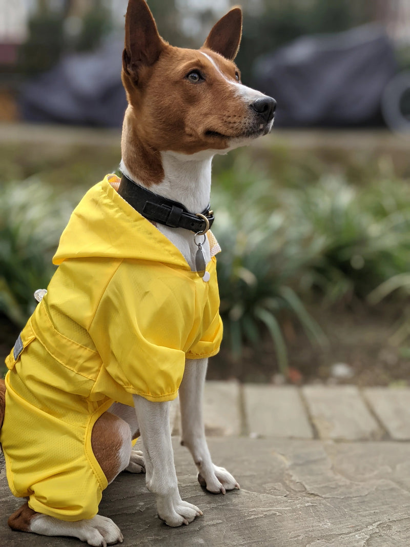 Dog Raincoat