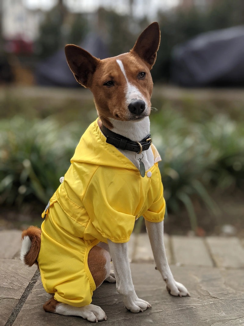 Dog Raincoat