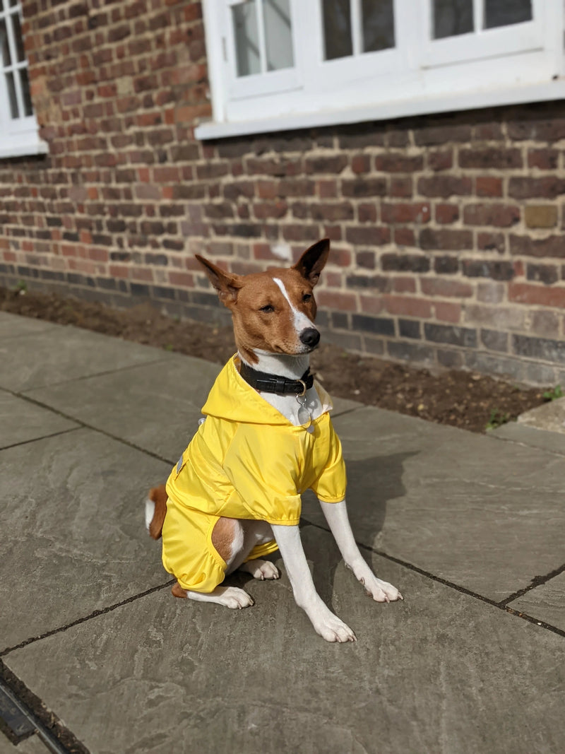 Dog Raincoat