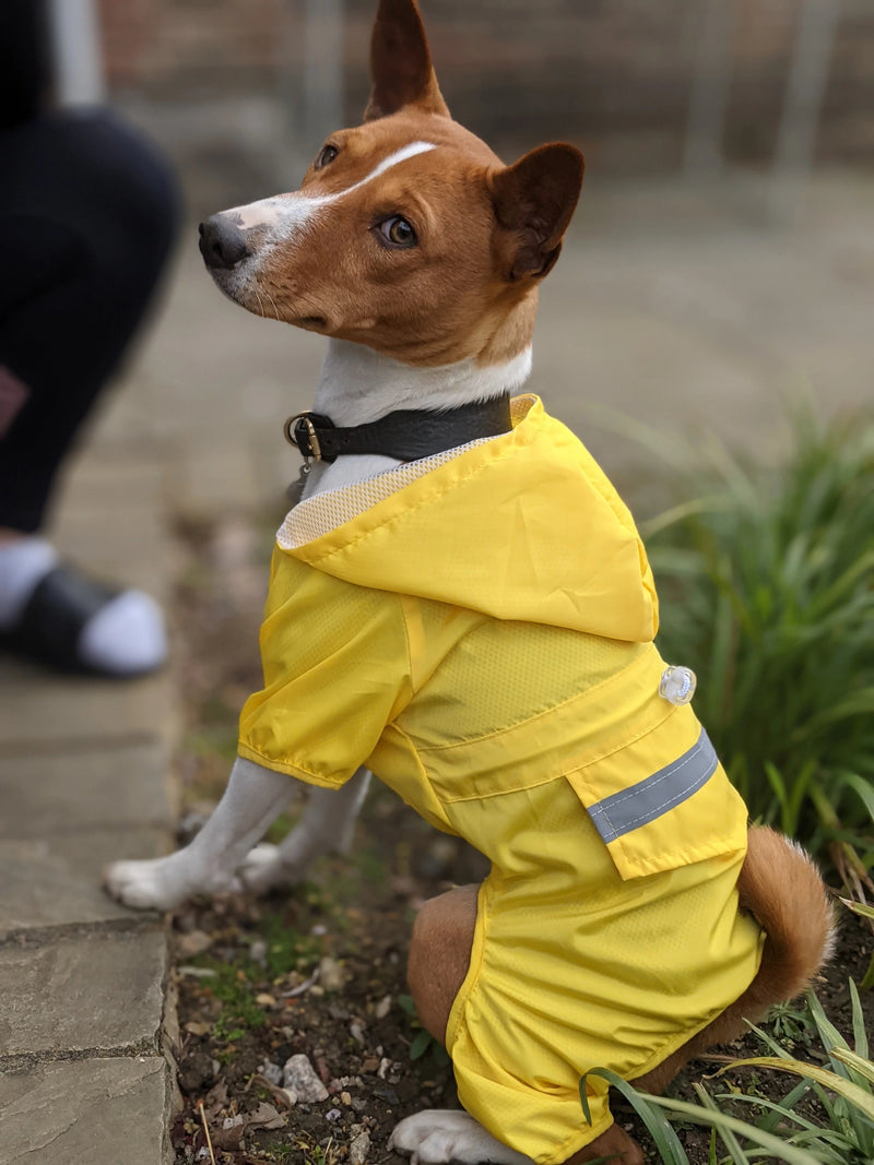 Dog Raincoat