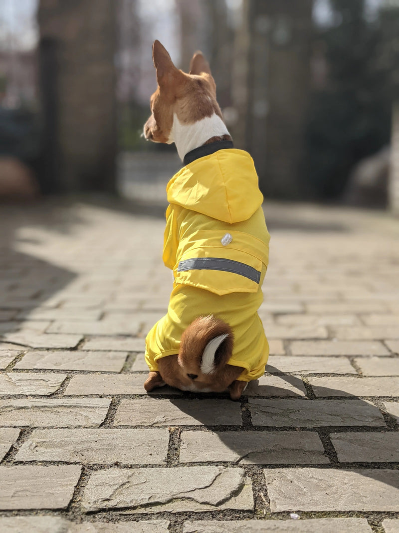 Dog Raincoat