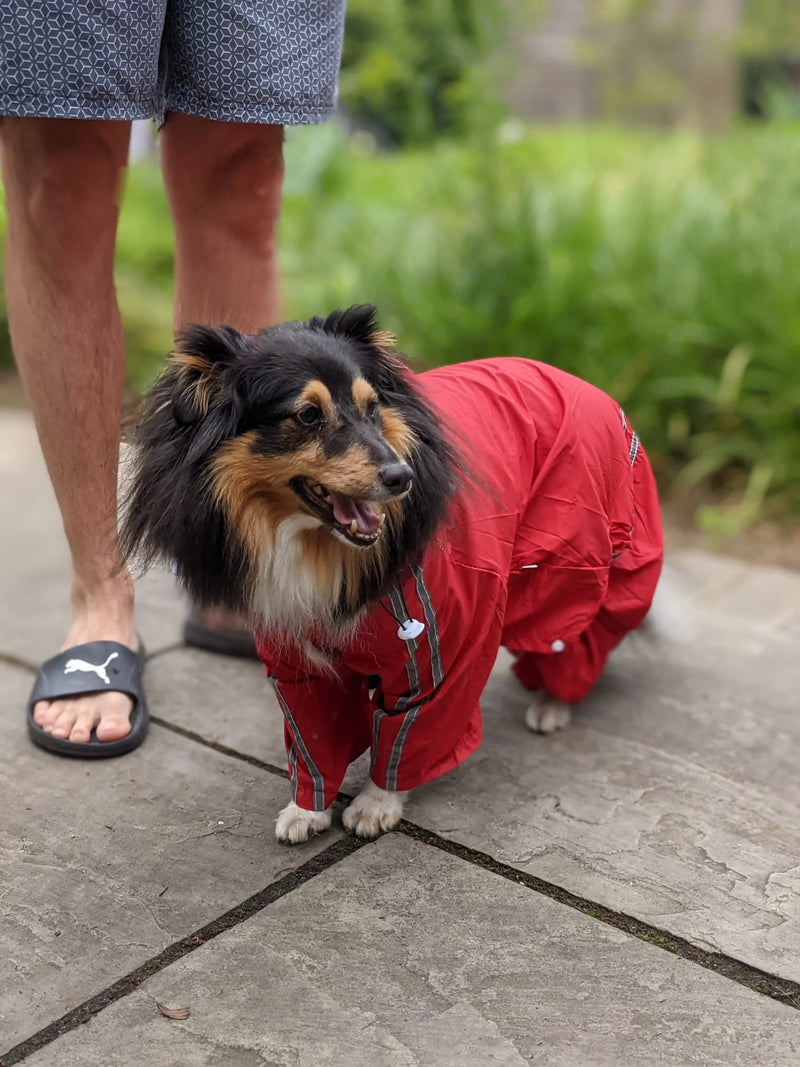 Striped Dog Raincoat