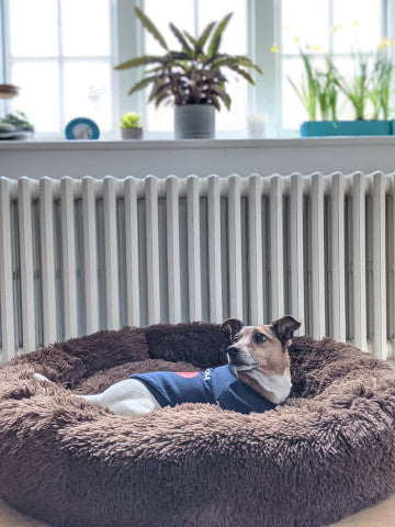 Soft Pet Bed