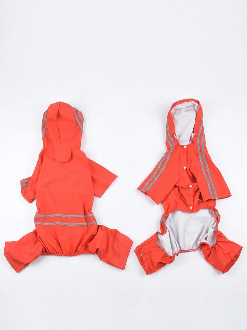 Striped Dog Raincoat